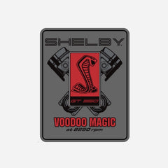 11x14 Garage Sign - Voodoo Magic GT350R