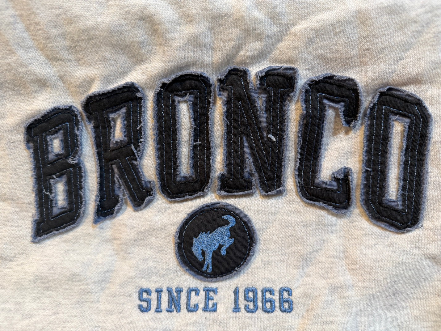 BRONFLEECECREW